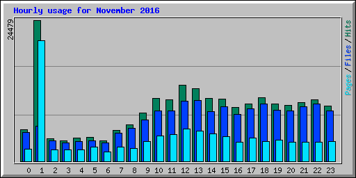 Hourly usage for November 2016